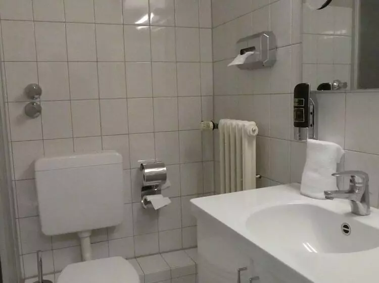 Fotos del hotel Terminus:  5