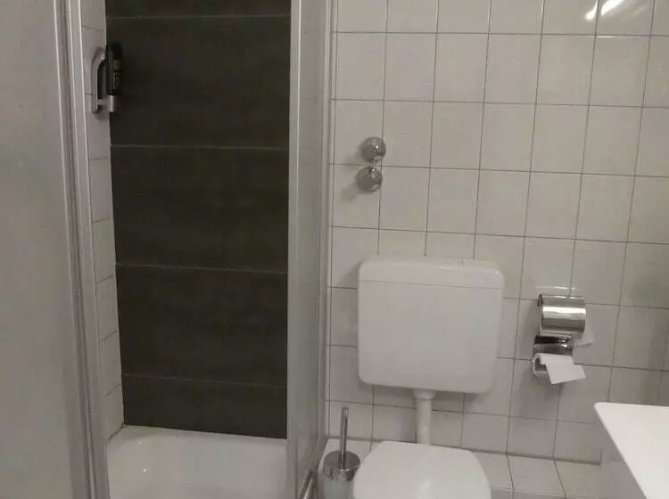 Fotos del hotel Terminus:  8