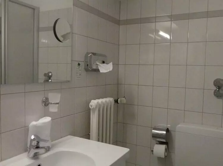 Fotos del hotel Terminus:  12