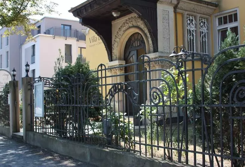 Fotos del hotel Villa De Baron:  11