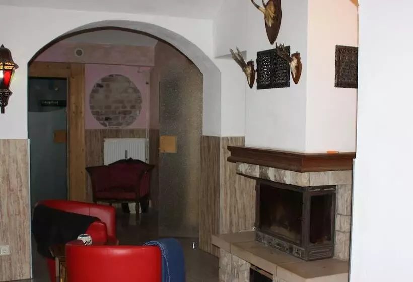 Fotos del hotel Villa De Baron:  2