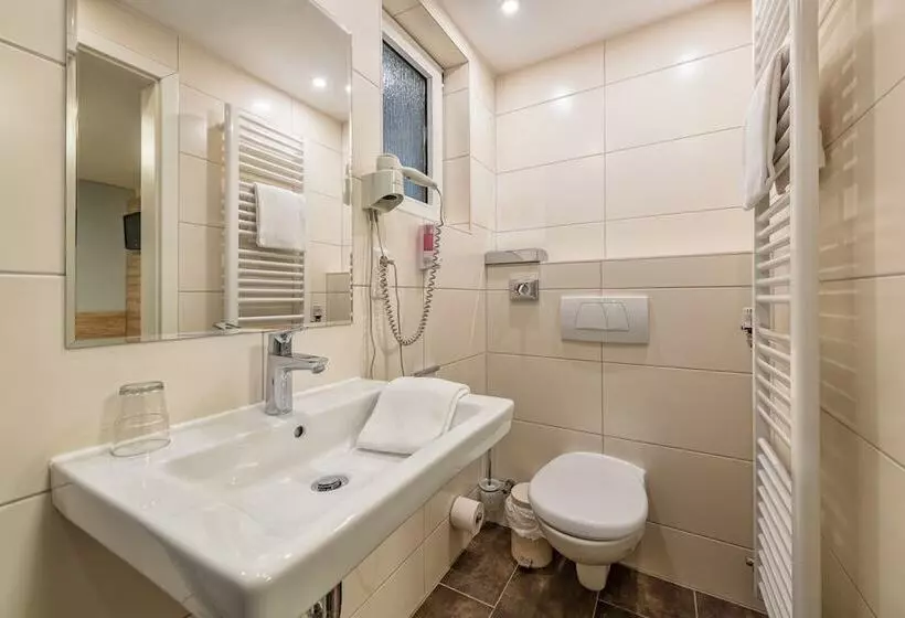 Fotos del hotel Windsor:  17