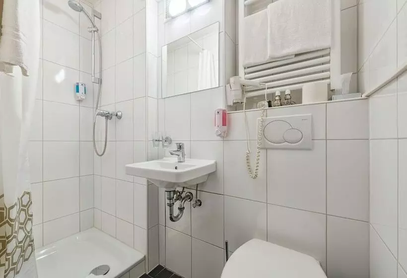 Fotos del hotel Windsor:  24