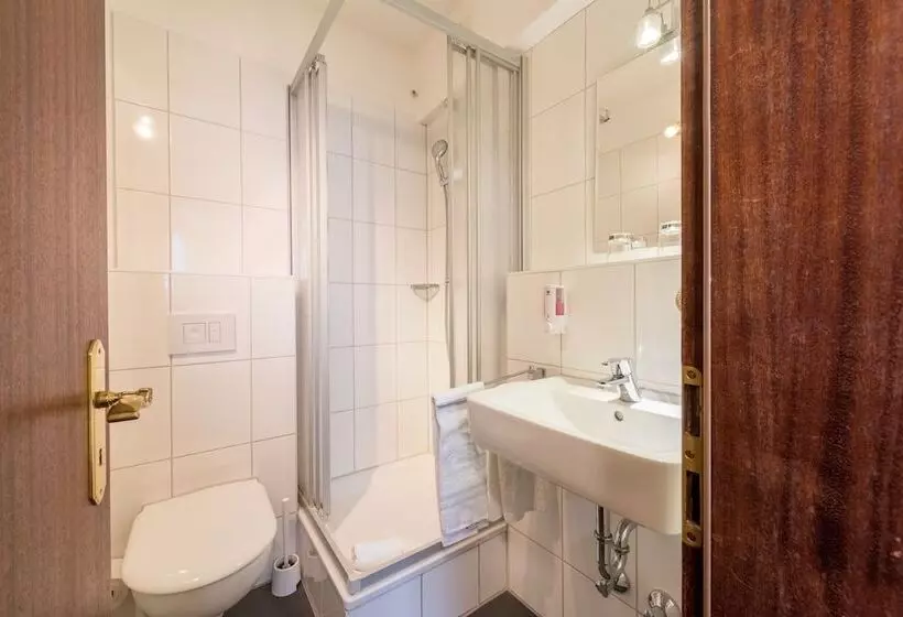 Fotos del hotel Windsor:  10