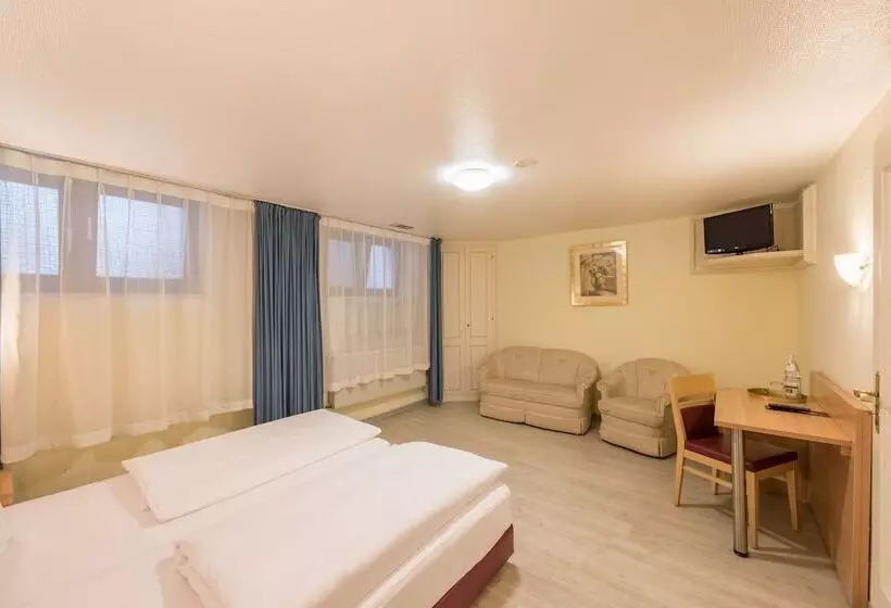 Fotos del hotel Windsor:  16