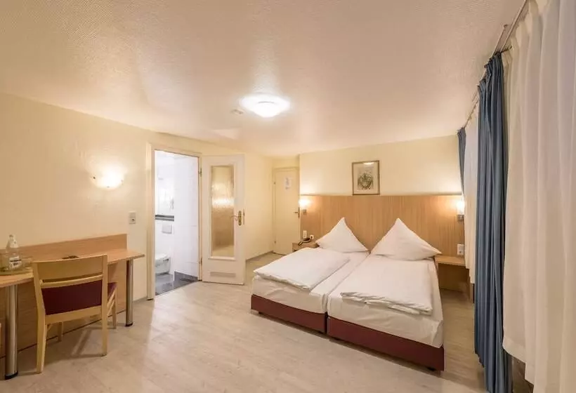 Fotos del hotel Windsor:  14