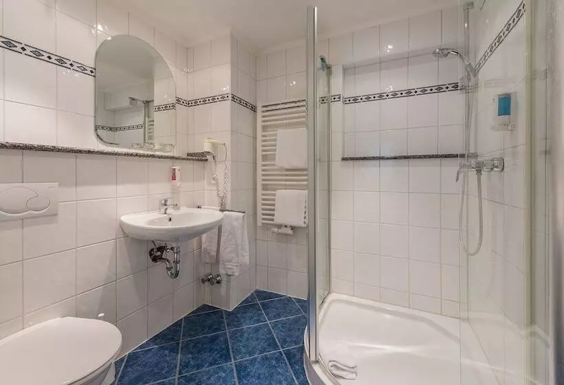 Fotos del hotel Windsor:  4