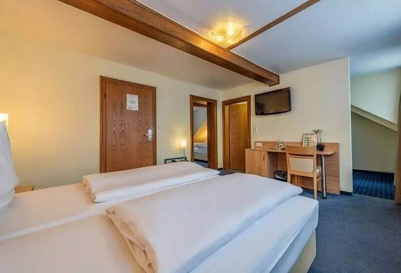 Fotos del hotel Windsor:  11