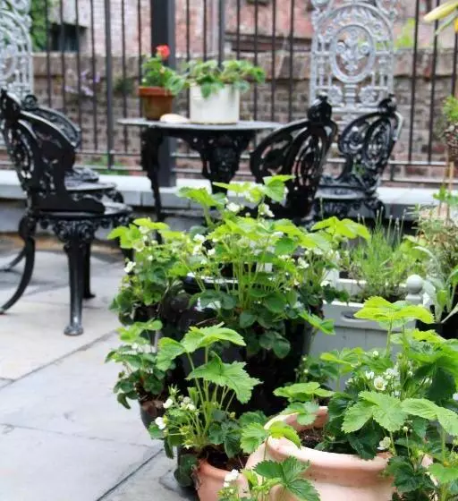 Fotos del hotel No.1 Pery Square Hotel & Spa:  7