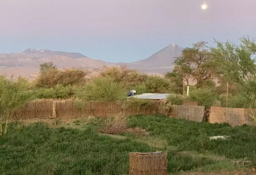 Fotos del hotel Sami Atacama Lodge:  24