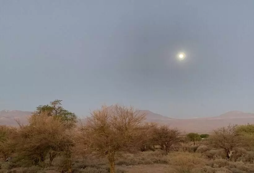 Fotos del hotel Sami Atacama Lodge:  21
