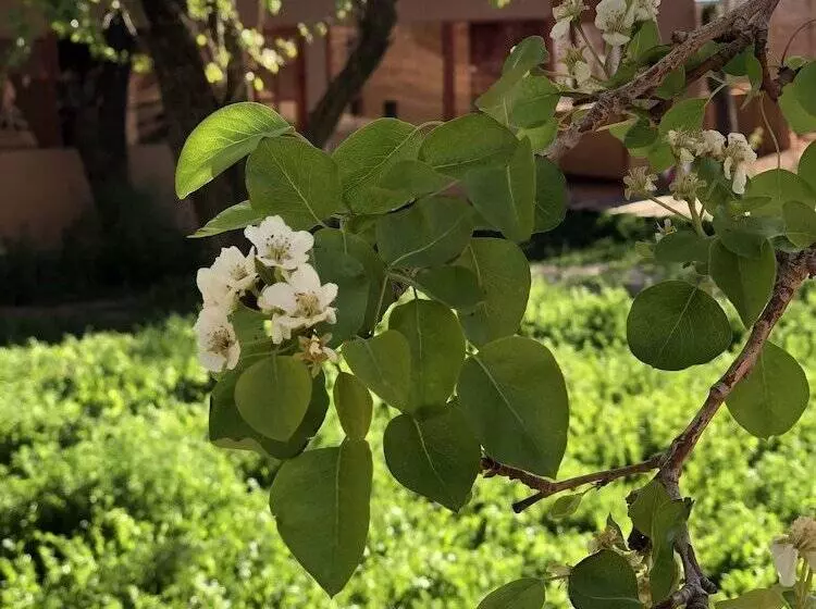 Fotos del hotel Sami Atacama Lodge:  17