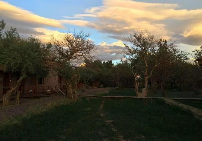 Fotos del hotel Sami Atacama Lodge:  22