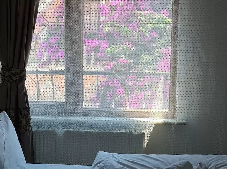 Fotos del hotel Ocean's 7:  24