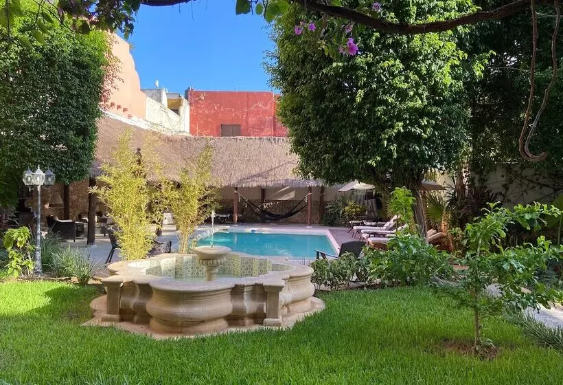 Fotos del hotel Casa Lucia  Boutique:  3