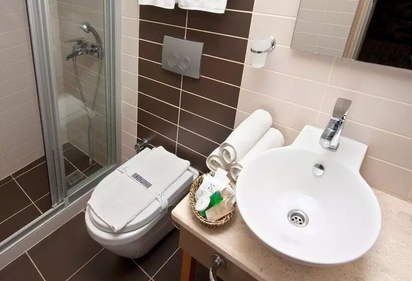 Fotos del hotel Nanda:  19