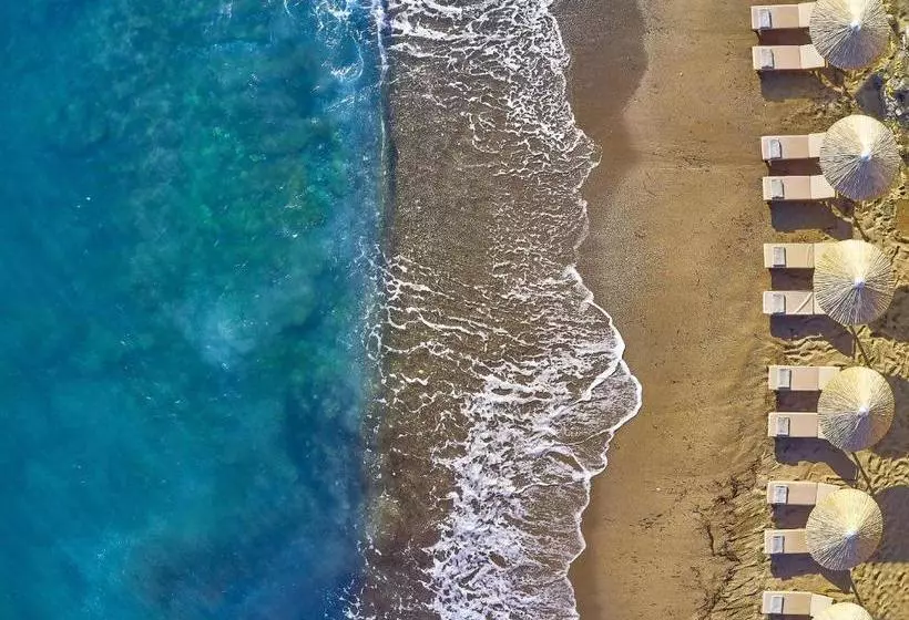 Fotos del hotel Vasia Boulevard:  4