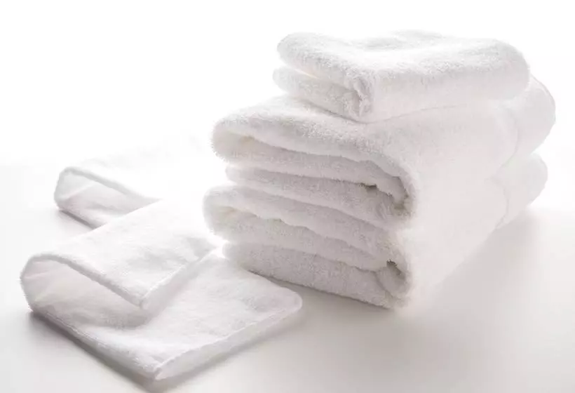 Fotos del hotel Villa Fontaine Tokyootemachi:  4