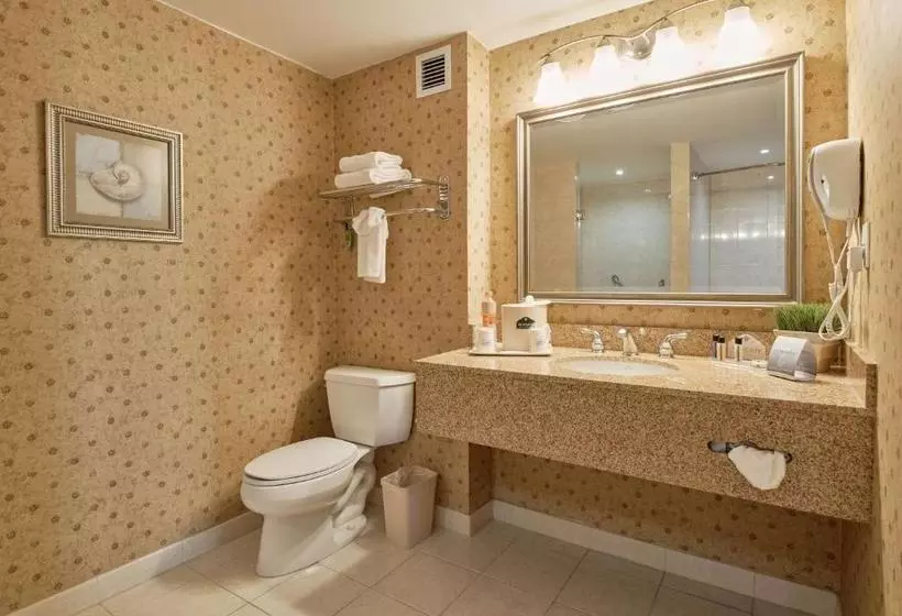 Fotos del hotel Wingate By Wyndham Chihuahua:  6