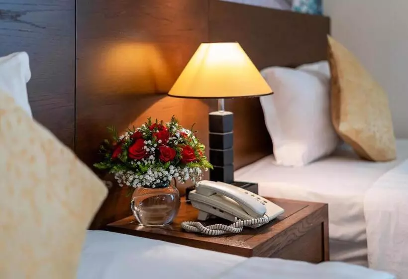 Fotos del hotel Hoàng Ngân  And Suites  City Centre:  14