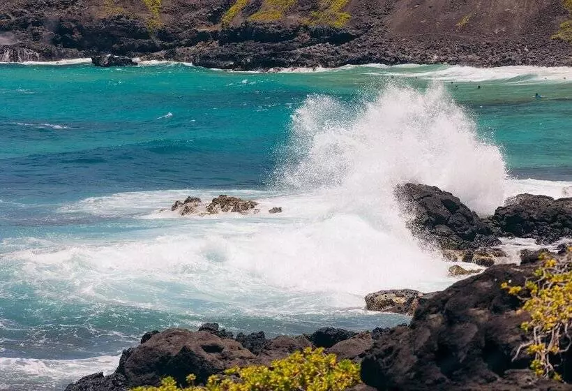 Fotos del hotel Lotus Honolulu At Diamond Head:  24