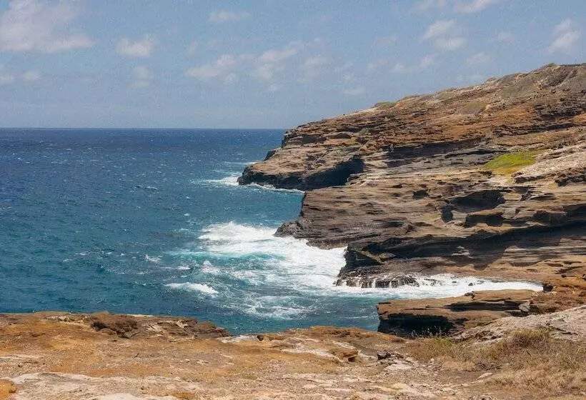 Fotos del hotel Lotus Honolulu At Diamond Head:  15