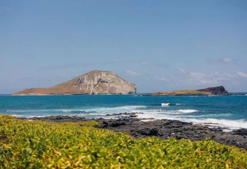 Fotos del hotel Lotus Honolulu At Diamond Head:  10