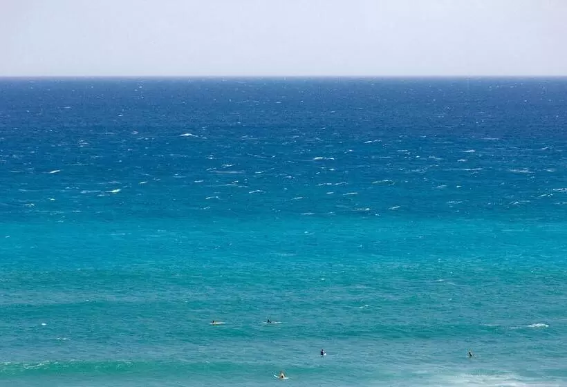 Fotos del hotel Lotus Honolulu At Diamond Head:  14