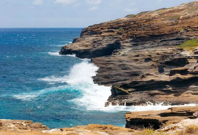 Fotos del hotel Lotus Honolulu At Diamond Head:  16
