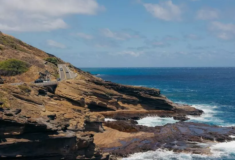 Fotos del hotel Lotus Honolulu At Diamond Head:  13