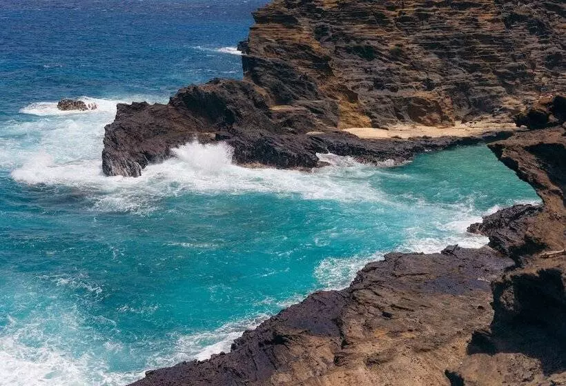 Fotos del hotel Lotus Honolulu At Diamond Head:  18