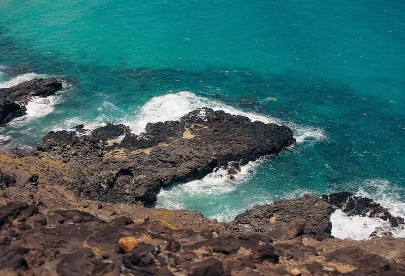 Fotos del hotel Lotus Honolulu At Diamond Head:  9