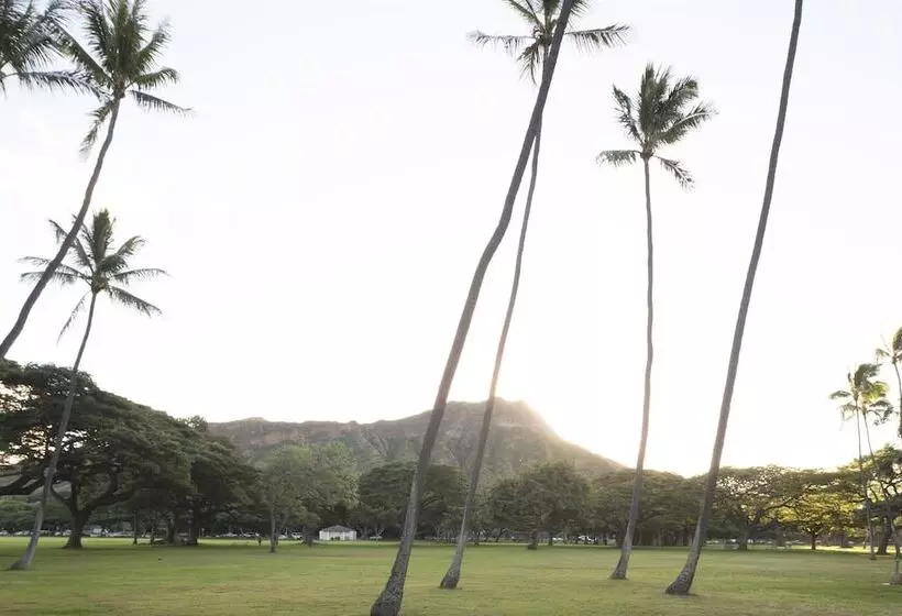 Fotos del hotel Lotus Honolulu At Diamond Head:  23