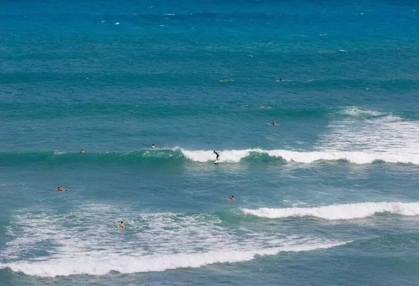 Fotos del hotel Lotus Honolulu At Diamond Head:  7