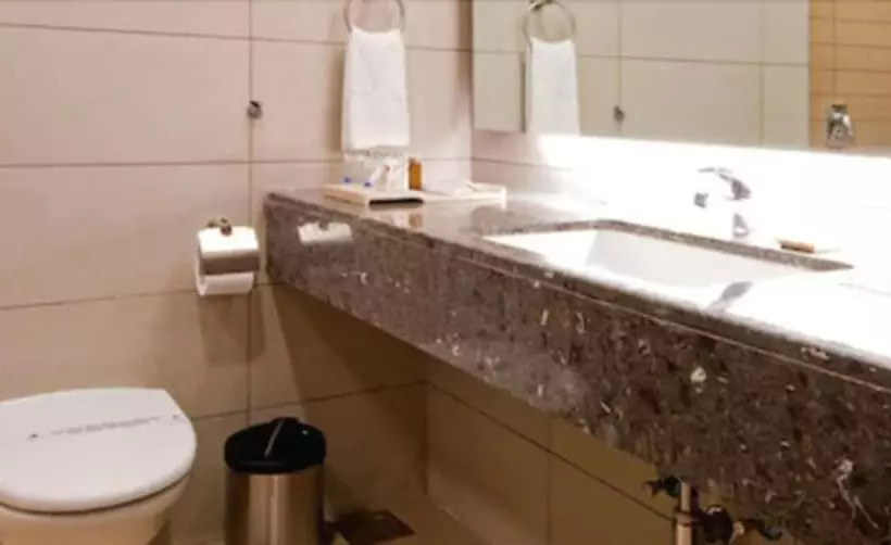 Fotos del hotel Suba International:  13