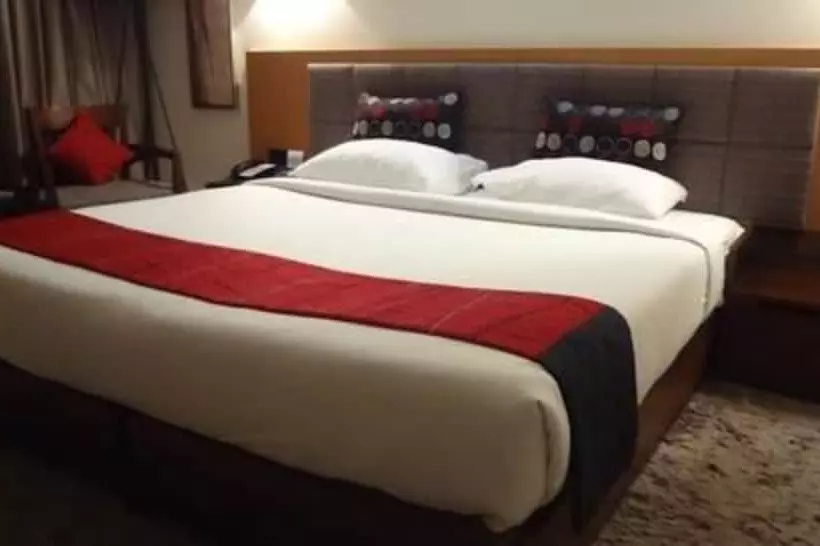 Fotos del hotel Suba International:  15