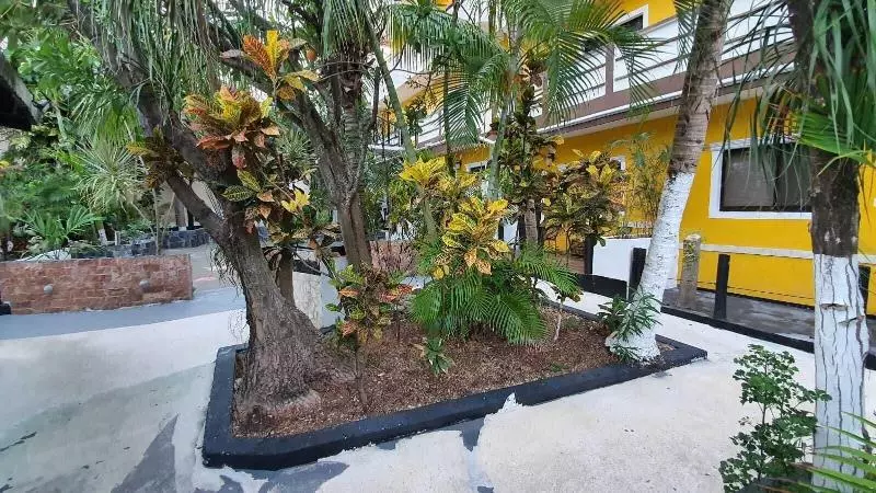 Fotos del hotel Beach Energy  By Bfh  5th Ave:  11