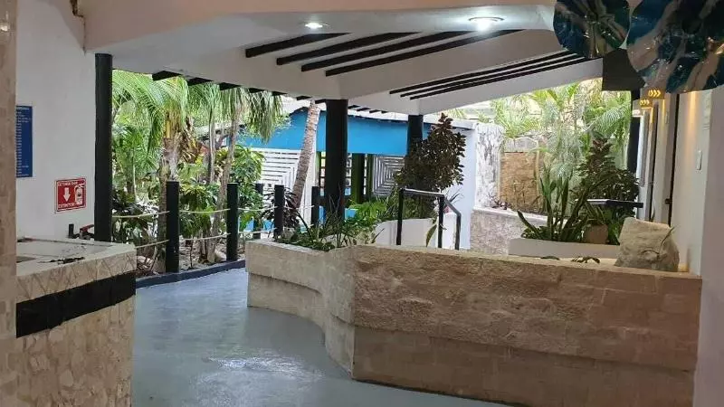 Fotos del hotel Beach Energy  By Bfh  5th Ave:  5