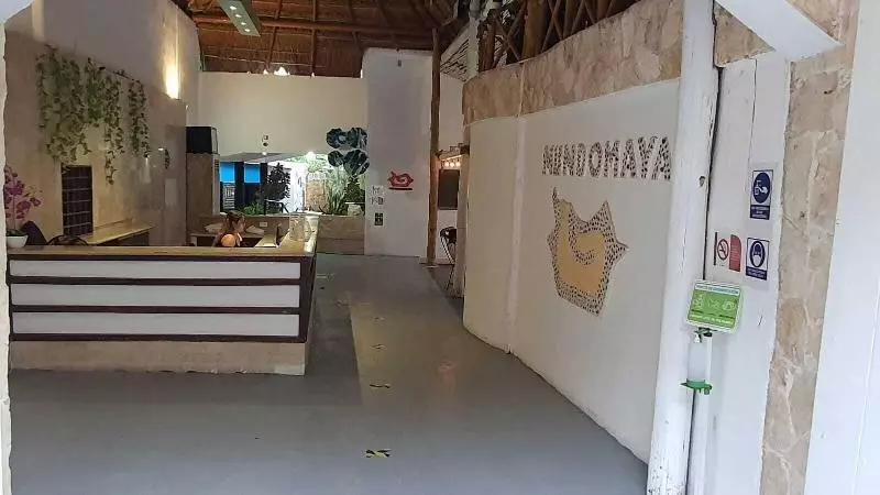 Fotos del hotel Beach Energy  By Bfh  5th Ave:  4