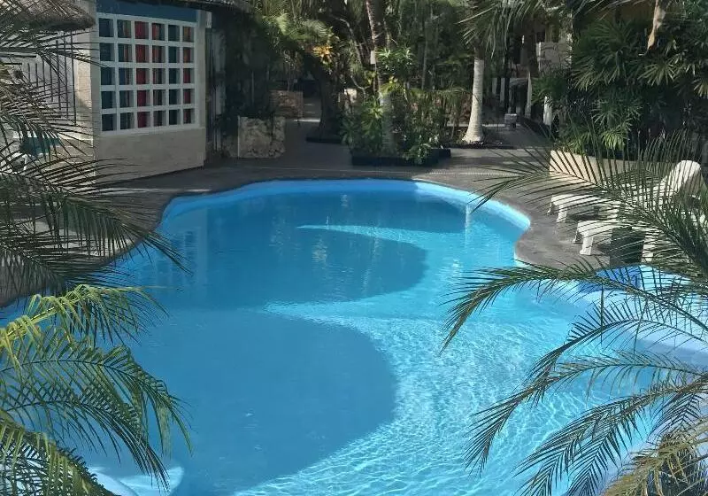 Fotos del hotel Beach Energy  By Bfh  5th Ave:  14