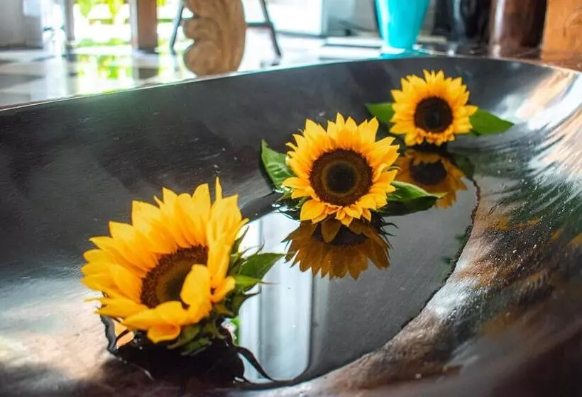 Fotos del hotel Aguamarina Boutique:  20