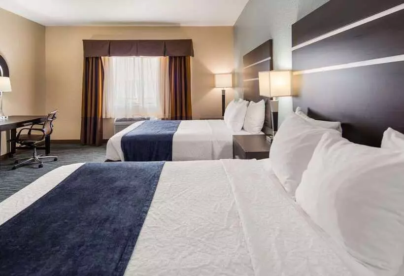 Fotos del hotel Best Western Plus Northwest Inn And Suites Houston:  20