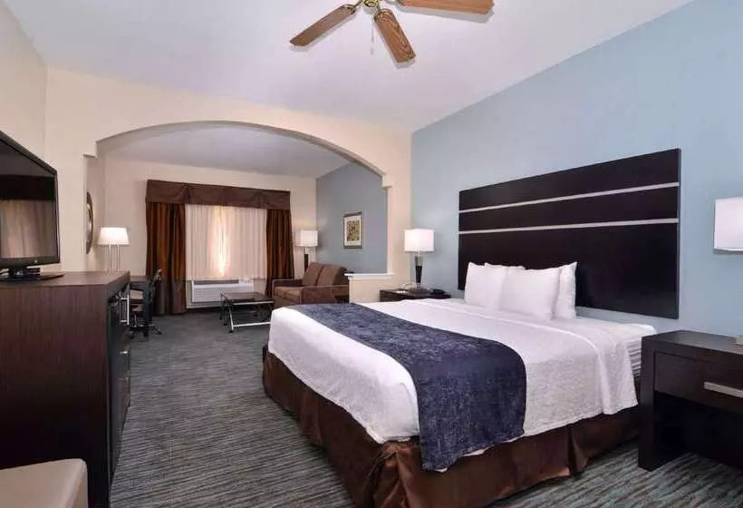 Fotos del hotel Best Western Plus Northwest Inn And Suites Houston:  22