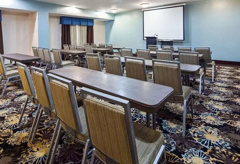 Fotos del hotel Best Western Plus Northwest Inn And Suites Houston:  6