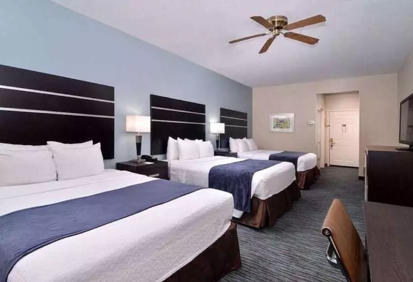 Fotos del hotel Best Western Plus Northwest Inn And Suites Houston:  17