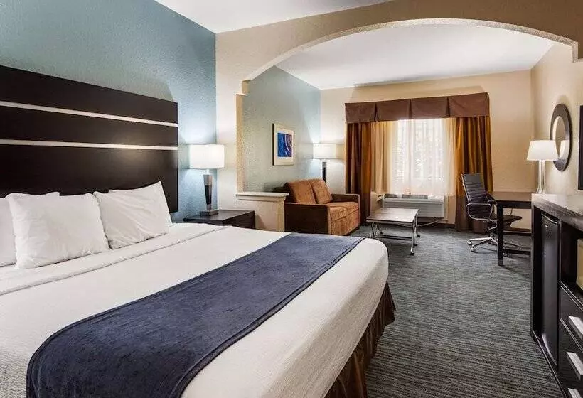 Fotos del hotel Best Western Plus Northwest Inn And Suites Houston:  14