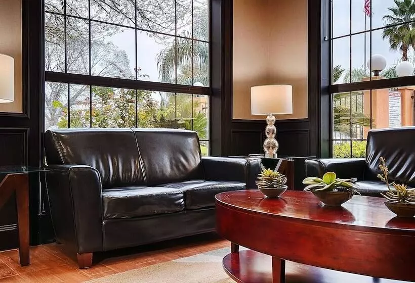 Fotos del hotel Best Western Plus Northwest Inn And Suites Houston:  25