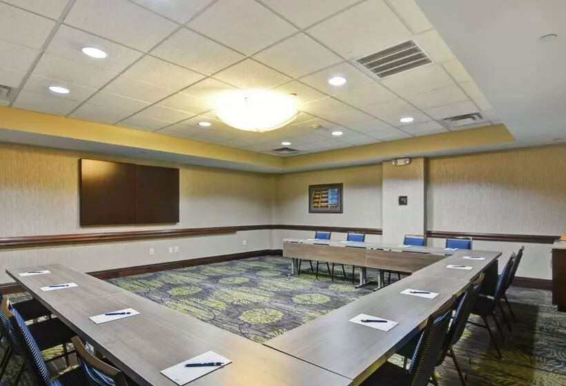 Fotos del hotel Homewood Suites By Hilton Houston Near The Galleria:  3