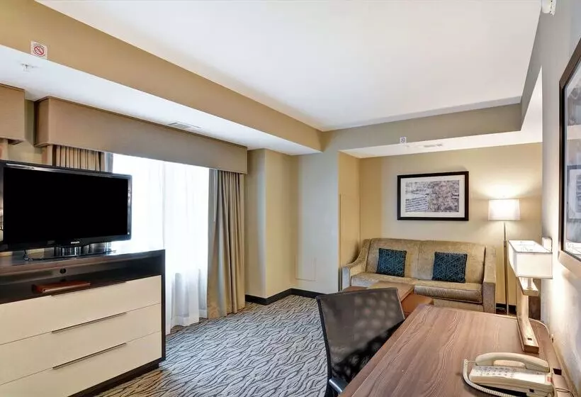 Fotos del hotel Homewood Suites By Hilton Houston Near The Galleria:  14