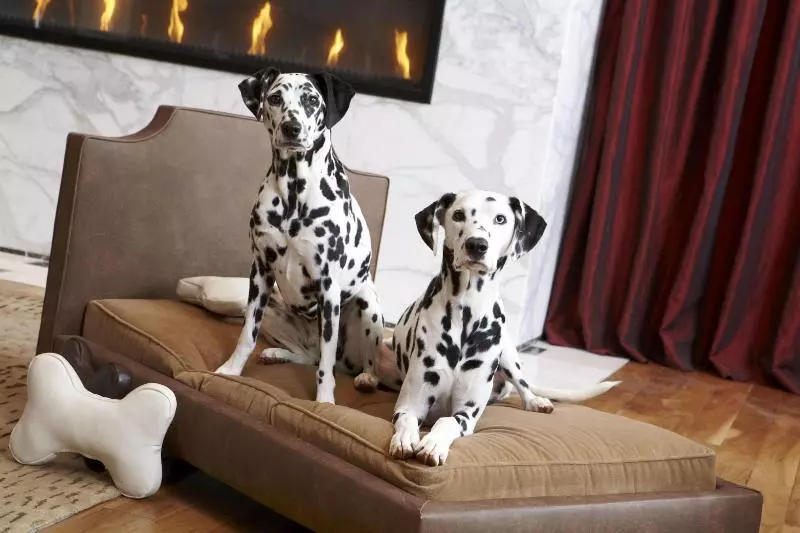 Fotos del hotel Renaissance Atlanta Midtown:  11